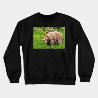 Cute Grizzly Bear Crewneck Sweatshirt